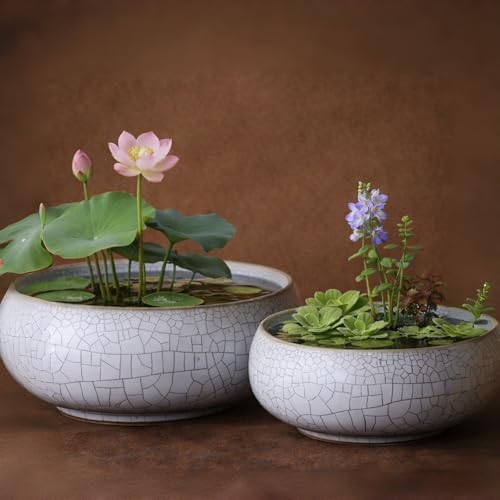Lotus Bowl Planter 2 Pack, 7.5in & 6.5in, Shallow Vase - Image 6