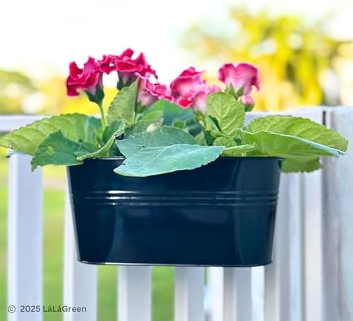 LaLaGreen Outdoor Rail Planter (16 in, 10 Pack) Black Metal Hanging Pots - Image 7