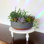 The HC Companies 8 Inch Capri Bowl Planter, Faux Concrete, 20-Pack - Image 4