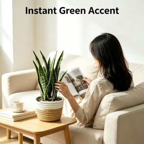 15"Artificial Snake Plant in Handwoven Rattan Planter Sansevieria Faux Indoor Branches with Lush Realistic Green Leaves Fake Potted Plants for Desk Living Room Office, Bedroom Home and Indoor Decor - Image 5