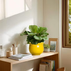 Ceramic Self Watering Planters, 6 Inch African Violet Pots for Indoor Outdoor Plants, Ceramic Plant Pot with Absorbent Inner Pot, Round Flower Pots, Living Room Decor, Gifts for Women, Yellow - Image 7