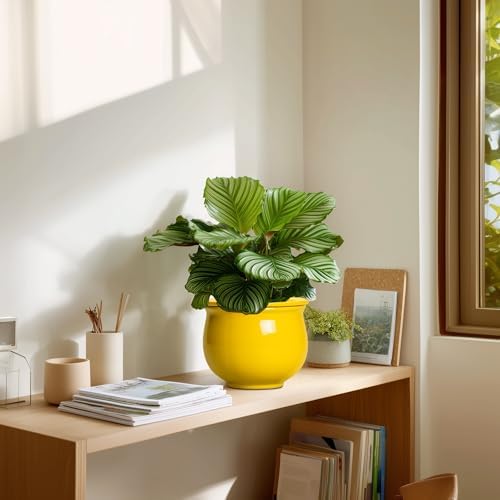 Ceramic Self Watering Planters, 6 Inch African Violet Pots for Indoor Outdoor Plants, Ceramic Plant Pot with Absorbent Inner Pot, Round Flower Pots, Living Room Decor, Gifts for Women, Yellow - Image 7