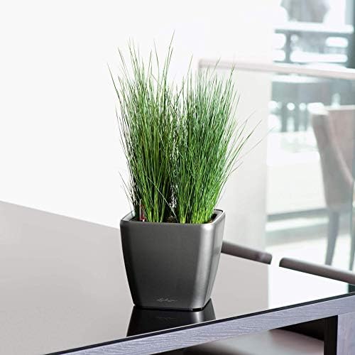 Lechuza Quadro LS 21 Scarlet Red High Gloss, Self-Watering Square Planter, H7.9 L8.3 W8.3 in - Image 4