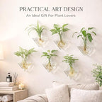 Yungyan 6 Pack Wall Mounted Glass Planter Borosilicate Glass Diamond Hanging Vase with Hidden Invisible Hook Hydroponic Plant Propagation Station Clear Wall Planter for Home Bathroom Office Decor - Image 5