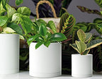 D'vine Dev 10-Pack Plastic Pots with Saucers, 4-6 in, White, 74-R-A - Image 6