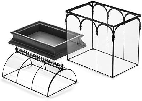 H Potter Large Glass Terrarium 22 Inch Tall, Curved Glass Wardian Case Planter with Resin Base, Indoor Display for Orchids Ferns Succulents, Removable Top - Image 5