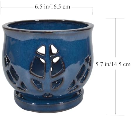 W&W Orchid Pot with Holes and Saucer for Repotting, Blue, 6.5" - Image 6