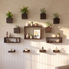 LaLaGreen Wooden Floating Shelves (13-Piece Set) Indoor Wall Mounted Plants by L%C3%A1L%C3%A1Green