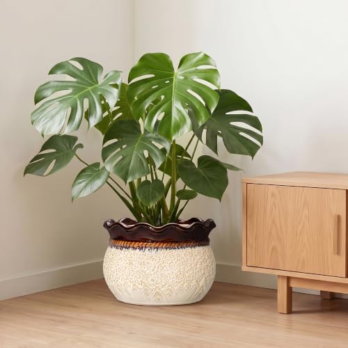 Ceramic Plant Pots, 12 Inch Ceramic Planter, Beige-Brown - Image 7