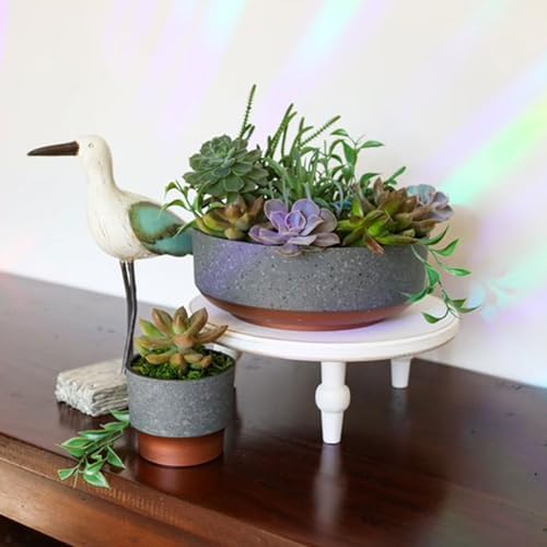The HC Companies 8 Inch Capri Bowl Planter, Faux Concrete, 20-Pack - Image 6