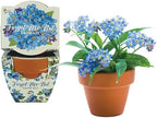 BUZZY Seeds Forget-Me-Not Grow Kit 12-Pack, Terracotta Pots, Daydream - Image 2