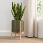 D'vine Dev Ceramic Pot with Natural Wood Stand, Olive, 10 in, 55-B-K-J - Image 2
