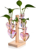 Nacome Plant Terrarium Propagation Stations: Pink Vase with Wooden Stand by Nacome