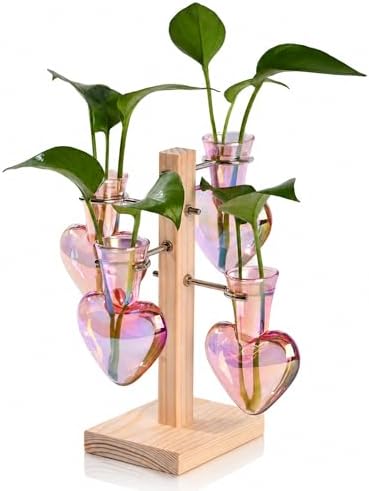 Nacome Plant Terrarium Propagation Stations: Pink Vase with Wooden Stand by Nacome