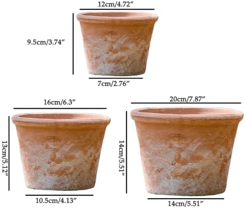 2/3 Pack Terracotta Planter, Breathable Clay Flower Pots, Red Clay Terracotta Plant Pots with Drainage, Indoor Outdoor Terracotta Flower Pot for Home Garden Plant Planting/12+16+20Cm - Image 6