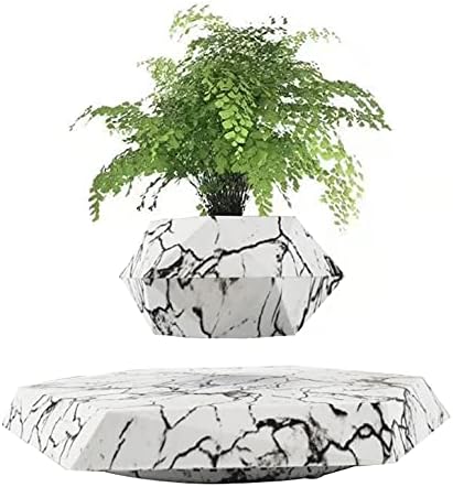 Floating Plant Pot Planter Suspension Air Bonsai Pot Flower Pot Levitating Plant Pot for Home Office by KIYOMING