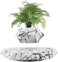 Floating Plant Pot Planter Suspension Air Bonsai Pot Flower Pot Levitating Plant Pot for Home Office by KIYOMING