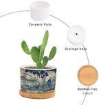 Blue and Green Ceramic Planters Asian Chinoiserie Life Flower Pots for Indoor Plants with Drainage Holes and Saucers Pot for Outdoor Garden Home Plant - Image 3