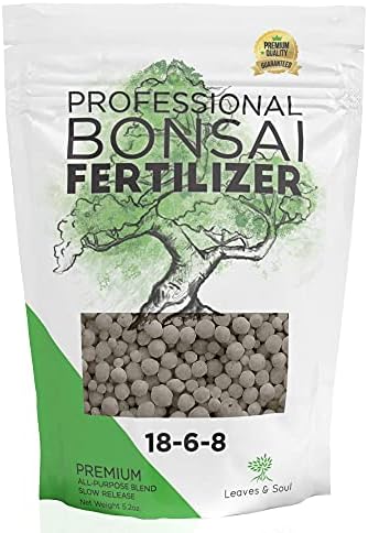 Leaves & Soul Bonsai Starter Kit for Bonsai Tree Complete Set for Beginners - Image 7