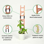 Stella - Modular ladder support - Image 2