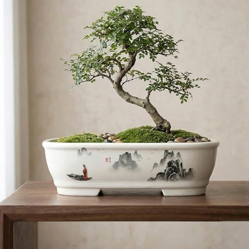 8" Bonsai Pots with Tray, Rectangular Planter in Blue & White - Image 6