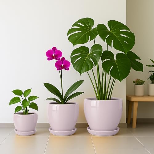 Deep Dream 8 Inch Plant Pots- Ceramic Pots for Plants with Drainage Hole and Saucer, Large Planter Pot for Indoor Plants Outdoor Decor, Pink - Image 5