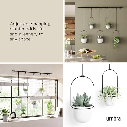 Umbra Triflora Hanging Planter, Set of 5, White (Pack of 3) - Image 4