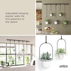 Umbra Triflora Hanging Planter, Set of 5, White (Pack of 3) - Image 4