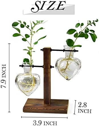 XXXFLOWER Plant Terrarium with Wooden Stand Air Planter Bulb Glass Vase Metal Swivel Holder Retro Tabletop for Hydroponics Home Garden Office Decoration - Image 5