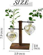 XXXFLOWER Plant Terrarium with Wooden Stand Air Planter Bulb Glass Vase Metal Swivel Holder Retro Tabletop for Hydroponics Home Garden Office Decoration - Image 5