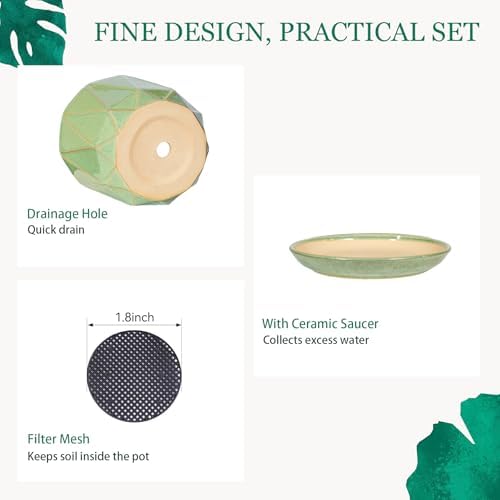7.8 Inch Ceramic Plant Pot with Drainage Hole Mesh Net, Large Flower Pots for Indoor Plants with Saucer, Gardening Pots Outdoor (Crackle-Green) - Image 4