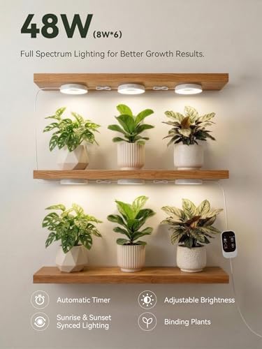 GLOWRIUM Puck Grow Light G7, Full Spectrum Grow Lights for Indoor Plants - Image 4