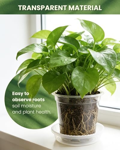 24 Pcs 7/6/5/4 In Clear Nursery Pots for Plants with Saucers, 24 Labels - Image 4