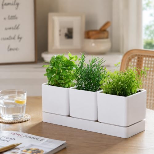 D'vine Dev 2-Pack Plastic Herb Garden Planter Set, White, 76-V-A-2 - Image 2
