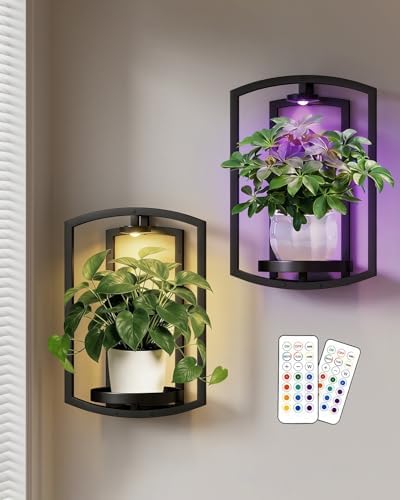 Aisdan Wall Plant Holder, Wall Planters for Indoor Plants with Wireless Remote Lights, Frame Plant Wall Shelves Wall Mounted Plant Holder for Living Room, 2 Pack by Aisdan