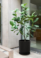 Veradek Mason Series Lima Planter Tray - Image 4