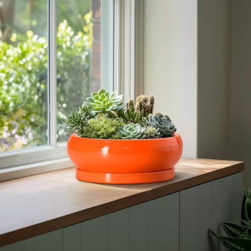 Bonsai Pots - 13 Inch Ceramic Succulent Pots with Drainage Hole and Saucer, Shallow Planter for Indoor Outdoor, Bonsai Planters, Large Planter Bowl, Porch Decor, Gift for Plant Lover, Orange - Image 4