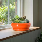 Bonsai Pots - 13 Inch Ceramic Succulent Pots with Drainage Hole and Saucer, Shallow Planter for Indoor Outdoor, Bonsai Planters, Large Planter Bowl, Porch Decor, Gift for Plant Lover, Orange - Image 4