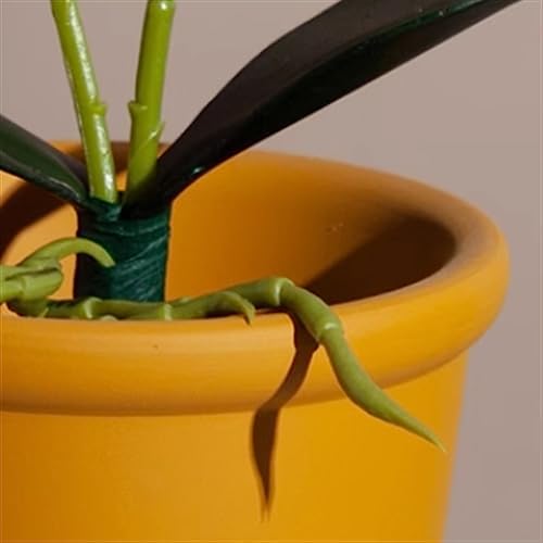 Planter Flower Pots Solid Color High Thin Round Thick Side Plant Pots Tall Simple with Tray Ceramic Planters for Home/Office/Garden/Balcony Flower Pots(Green,Small) - Image 5