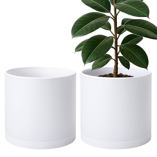 D'vine Dev 2-Pack White Plastic Planters with Saucers, 12 in, 74-Z-P-1 by DvineDevPlanterPotsandStand