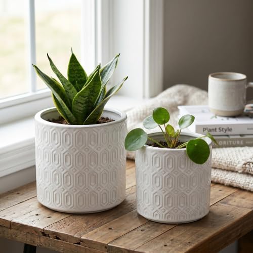 Patio Home Decor Planter, Ceramic Planter Pots with Geometric Design by XUOXFUTZIG