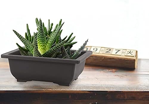 SEUNMUK 30 PCS 6.5 Inch Plastic Bonsai Training Pots, Thicken Rectangular Plastic Growing Pots, Flower Succulent Pots Container, Bonsai Plants Growing Pot for Home, Office, Balcony, Garden and Yard - Image 7