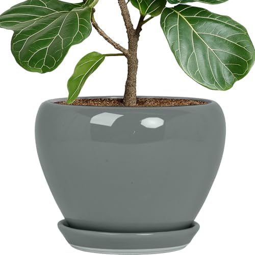 Deep Dream 10 Inch Plant Pot- Ceramic Planter Pot Round Plant Pots for Indoor Plants Outdoor Large Flower Pot with Drainage Holes & Trays, Grey by DeepDream