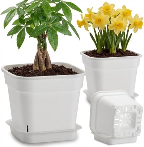 BTPLASTIK 6 Pack 6/8/10 Inch Square Plant Pots with Saucers White by BTPLASTIK