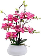 W&W Artificial Orchid Plants and Flowers with Vase, Fake Faux Orchid in Ceramic Pot,17”, Fuchsia by WWHomeDecor
