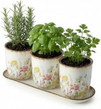 vensovo Ceramic Planter Set with Tray, 3 Small Herb Pots, Meadow Floral by vensovo