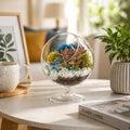 Creations by Nathalie 6 Inch Chalice Terrarium Kit with Live Succulent by CreationsbyNathalie