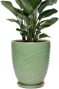 9.5 Inch Modern Ceramic Plant Pot with Saucer, Flower Pot with Drainage Hole Mesh Net,Indoor Outdoor Planter (Crackle-Green) by Unknown