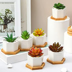 Gerrii Succulent Pots Mini White Ceramic Flower Planter Pot Succulent Planters with Wooden Trays and Drainage Holes for Plants Cactus Home Office Decoration, Plants Not Included(24 Pcs) - Image 3
