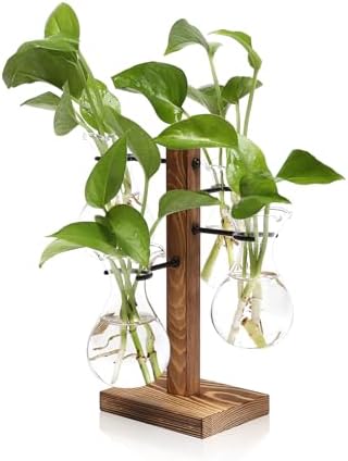 Plants Propagation Stations Bulb Glass Propagation Birthday Gift for Women by YYHglass
